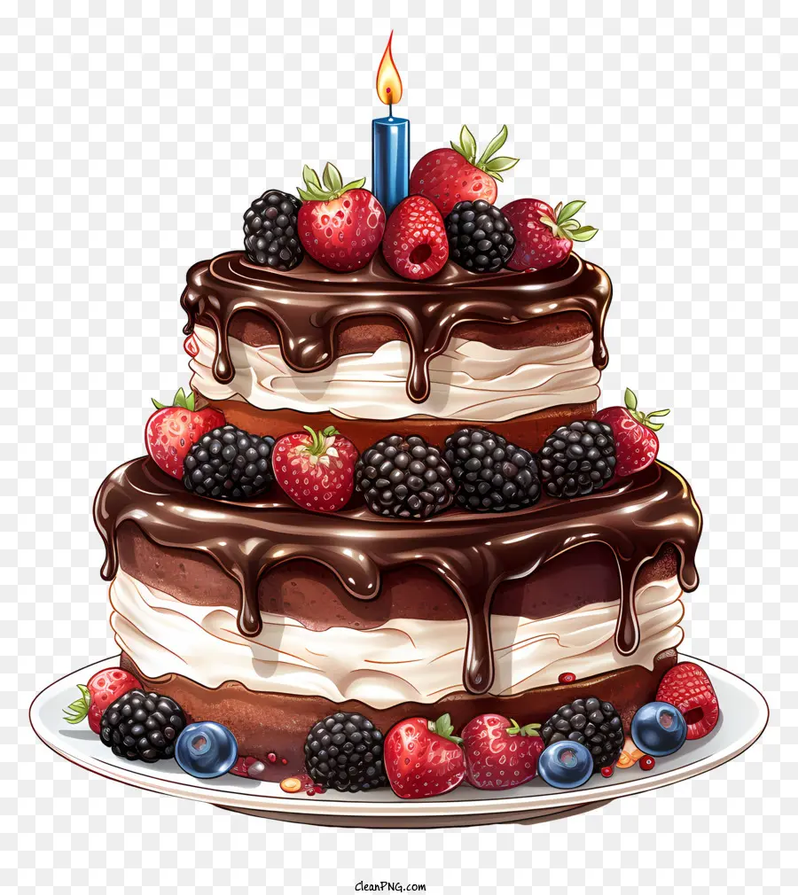 Torta De Cumpleaños，Pastel De Chocolate PNG