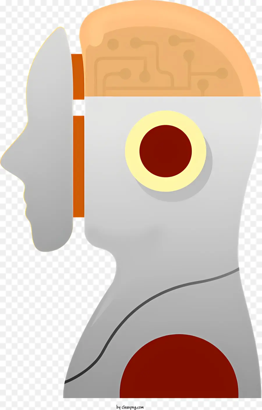 La Anatomía Del Cerebro，Cerebro De Reloj PNG