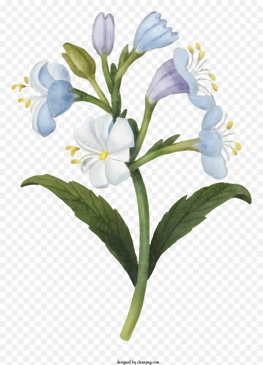 Dibujos Animados，Flor Azul PNG