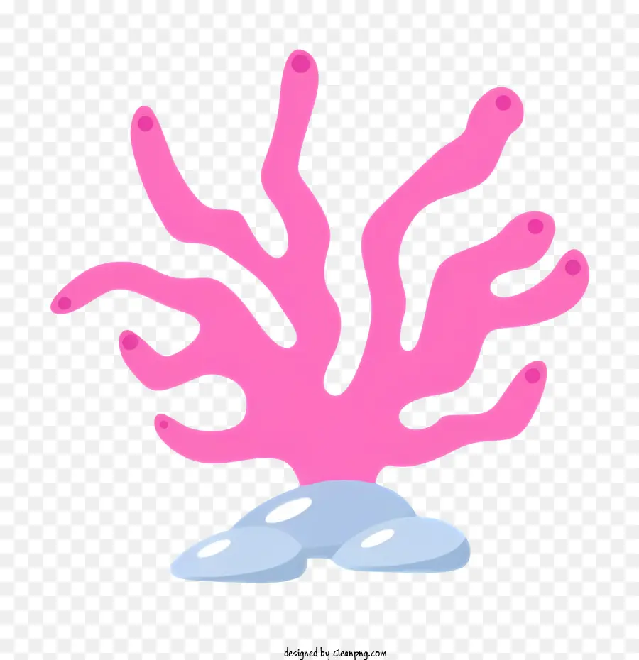 Icono，Coral Rosa PNG