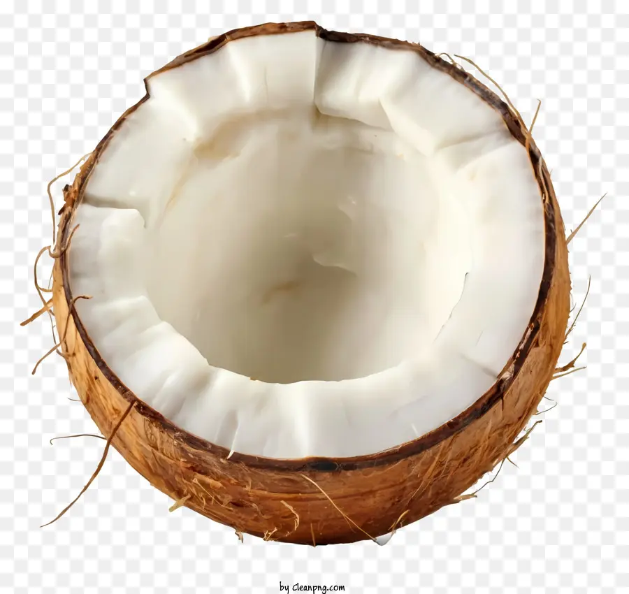 La Historieta，Carne De Coco PNG