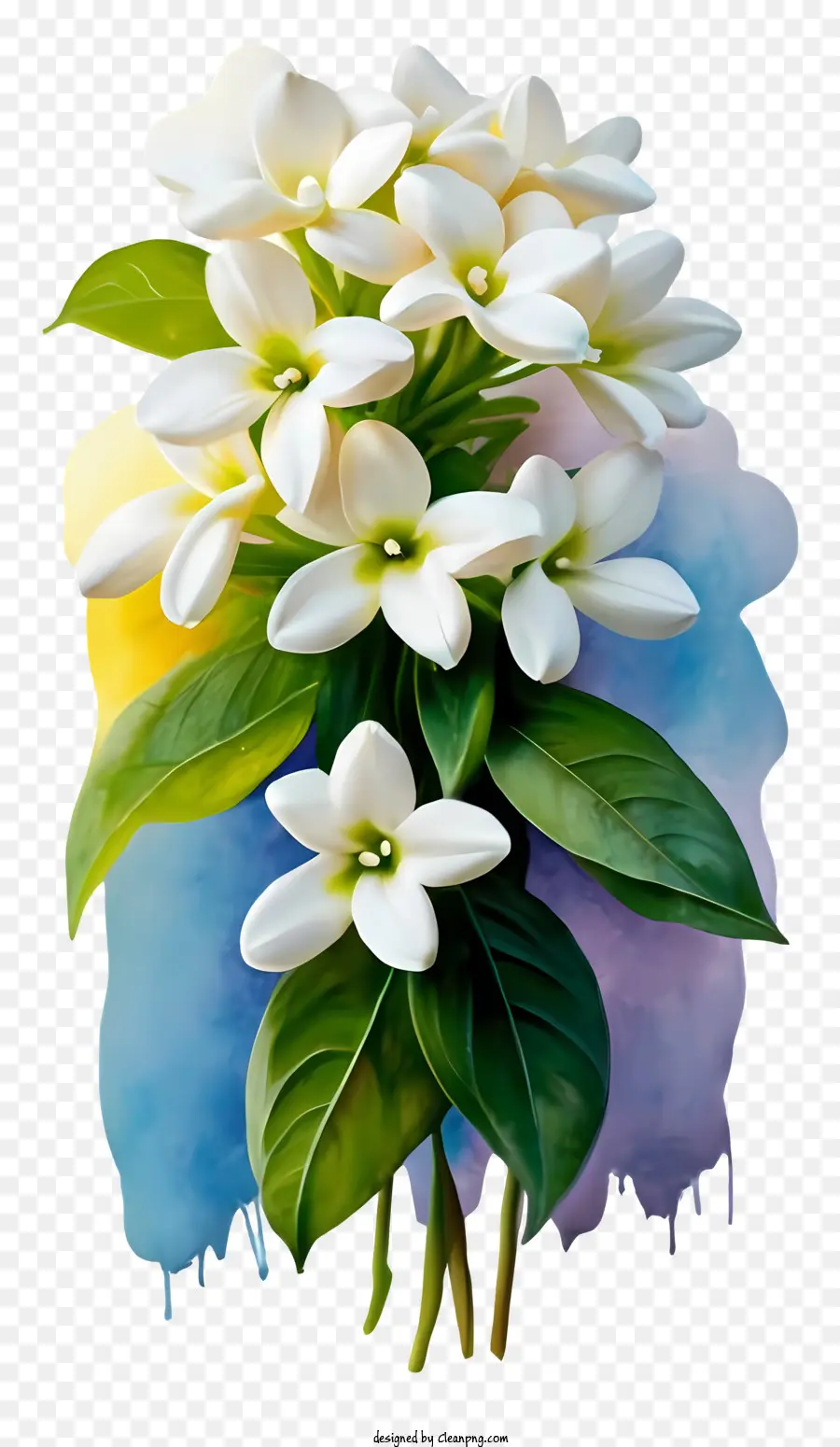 La Historieta，Fotografía De Flores PNG