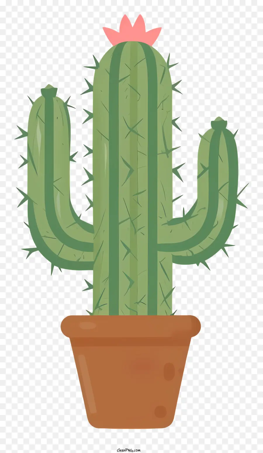 Icono，Cactus PNG