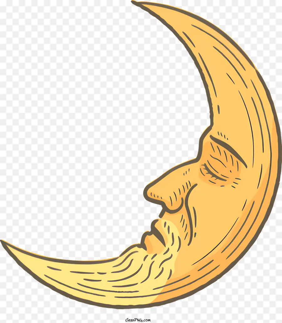 Crescent Moon，Contorno De La Cara PNG