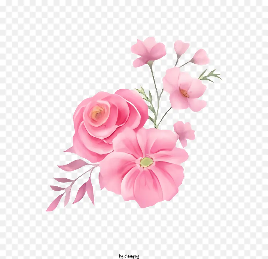 Flor Rosa，Rosa PNG