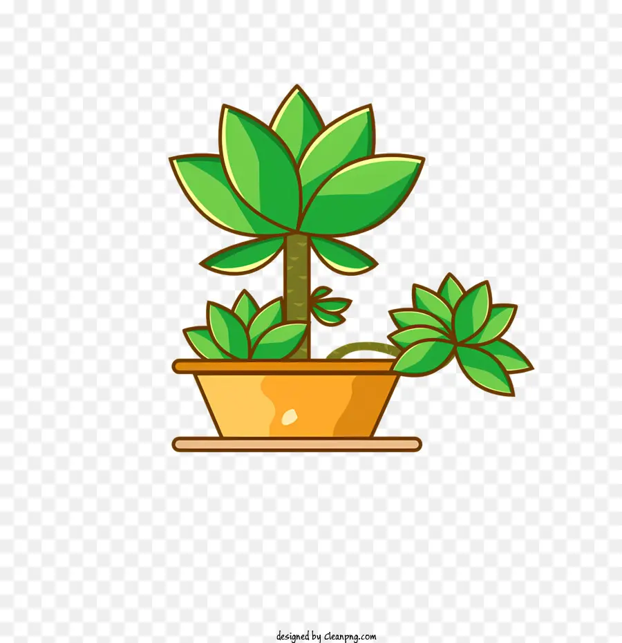 Planta，Maceta De Flores PNG