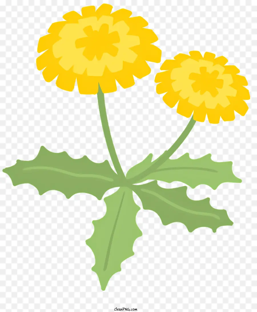 Flor，Pétalos Amarillo PNG