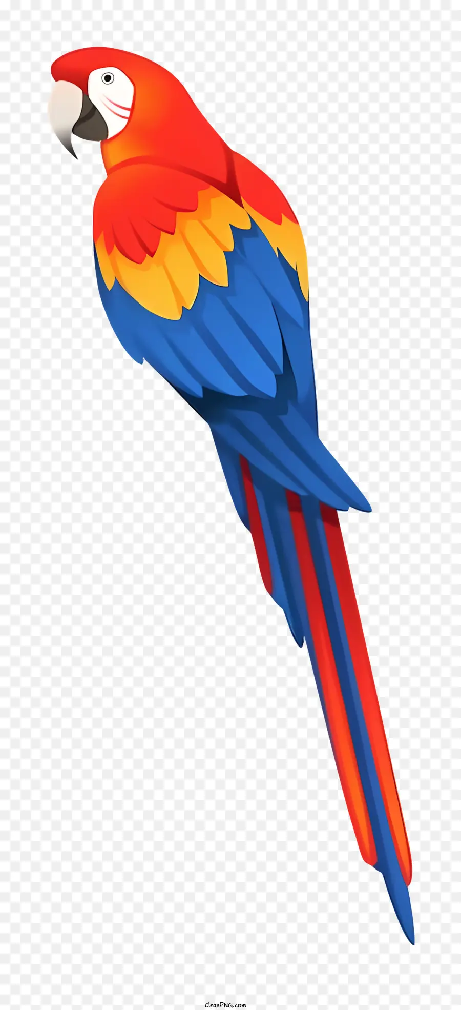 Loro Colorido，Plumas Azules Y Rojas PNG