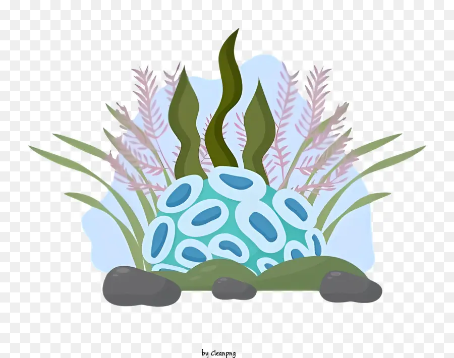 Icono，Plantas Marinas PNG