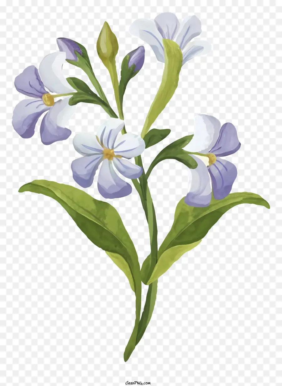 La Historieta，Flor Azul PNG