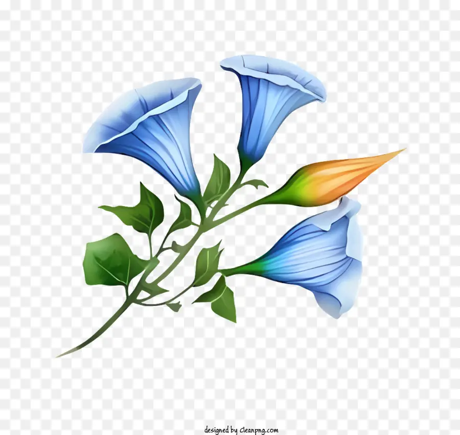 Flor Azul，Centro De Naranja PNG