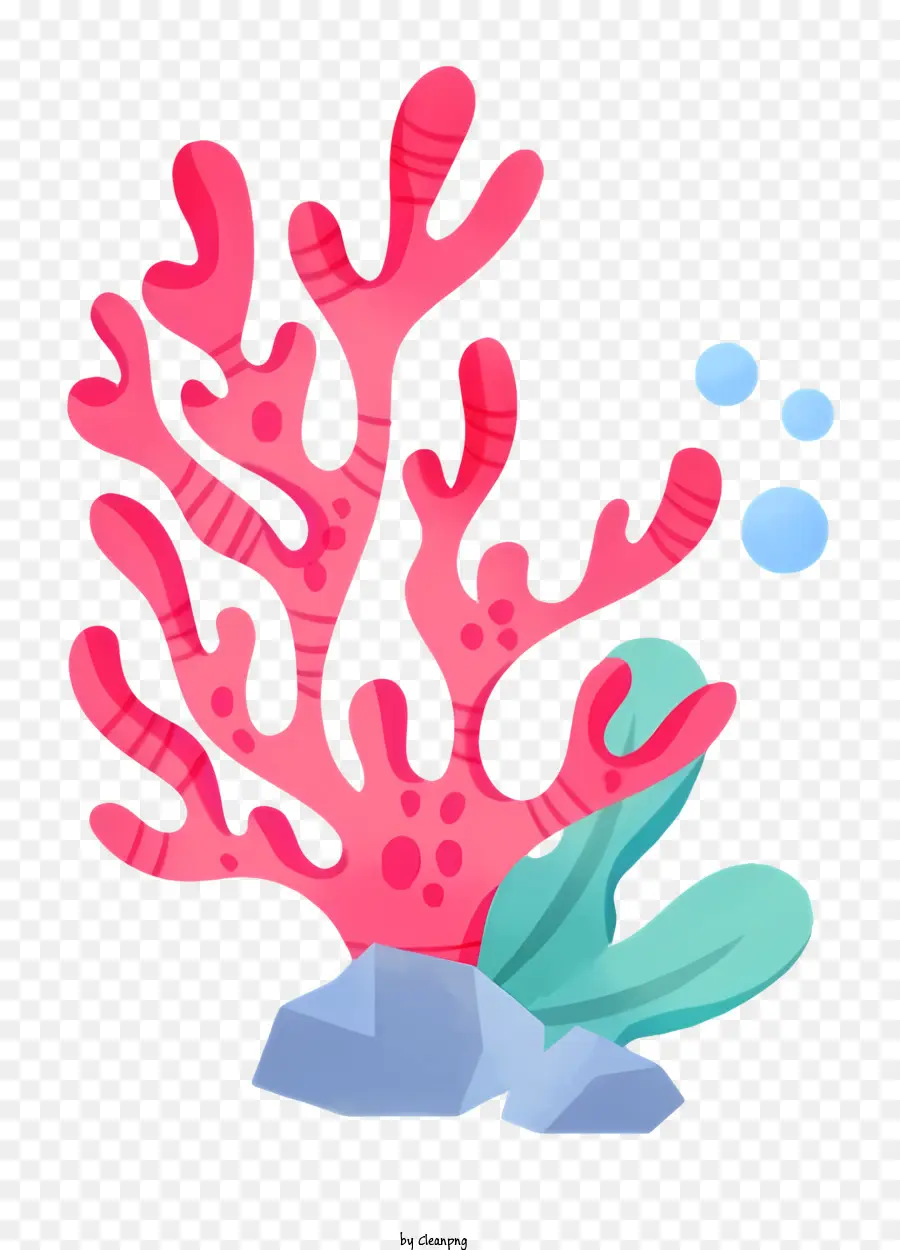 Icono，Coral Rojo PNG