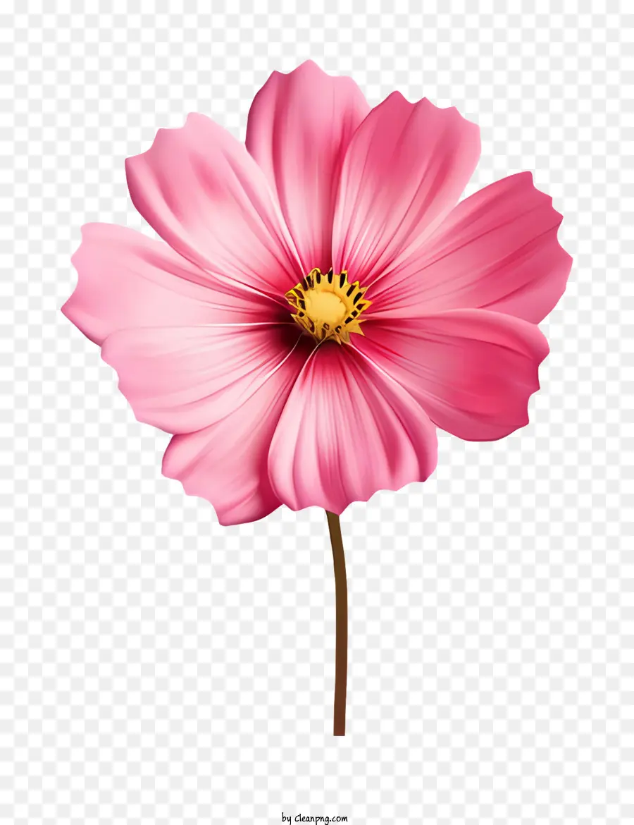 La Historieta，Flor Rosa PNG