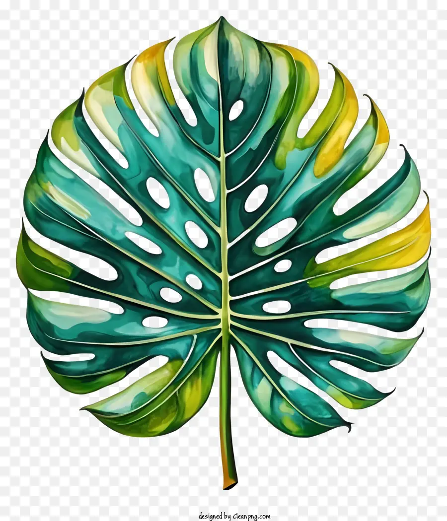 La Historieta，Monstera De La Hoja PNG