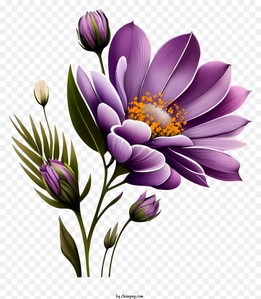 La Historieta，Flor Morada PNG