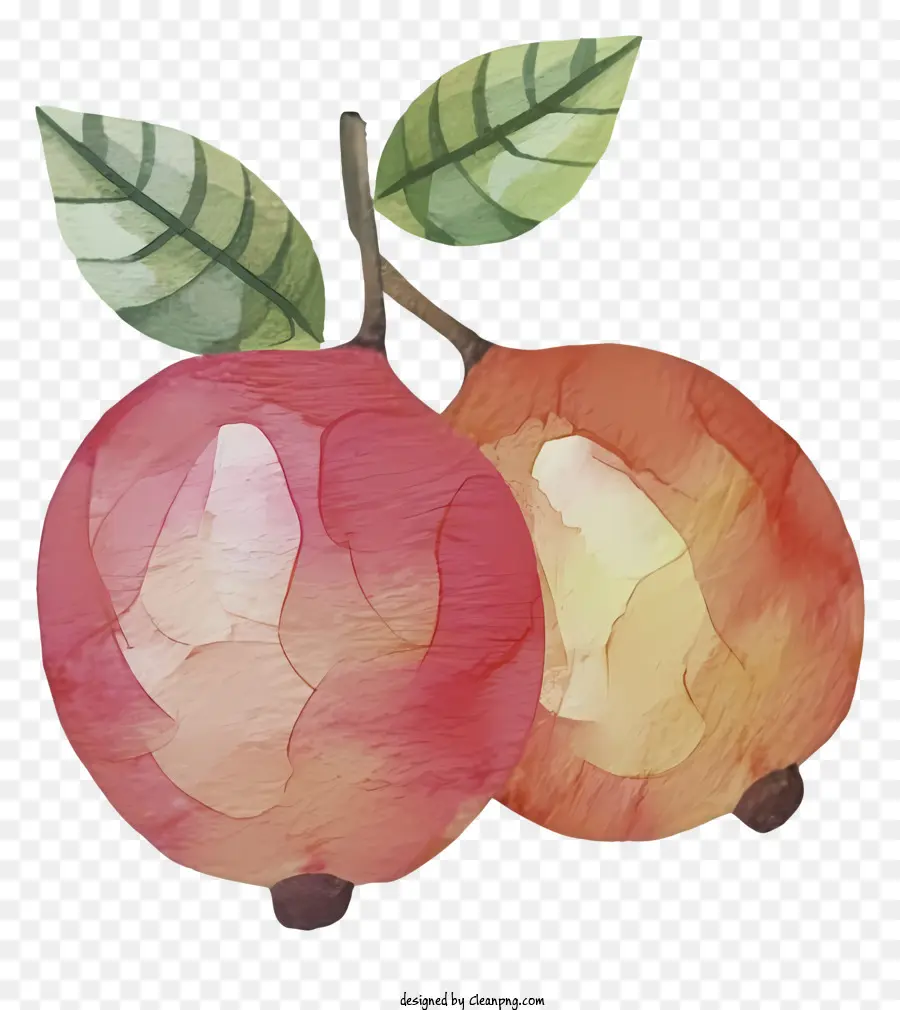 Dibujos Animados，Manzana PNG