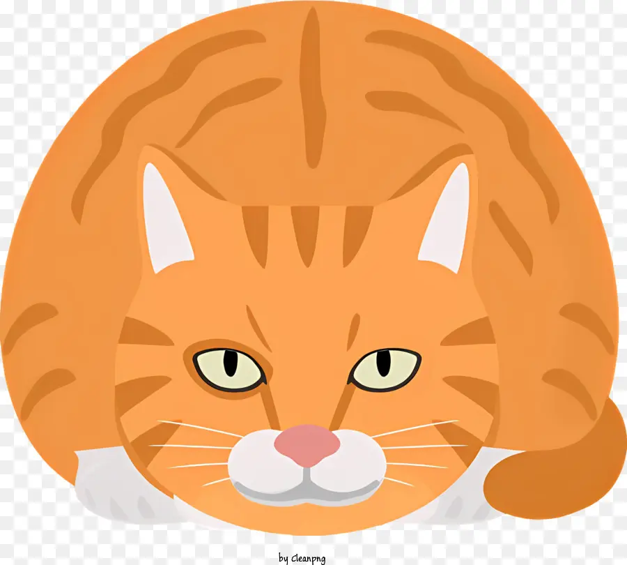 Icono，Gato PNG