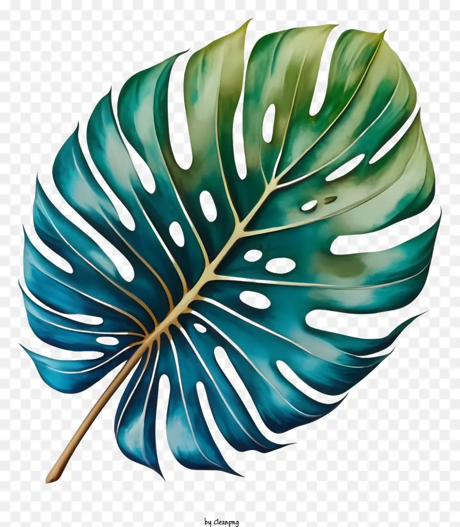 La Historieta，Planta De Hoja Verde PNG