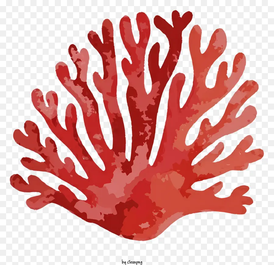 La Historieta，El Coral Rojo PNG