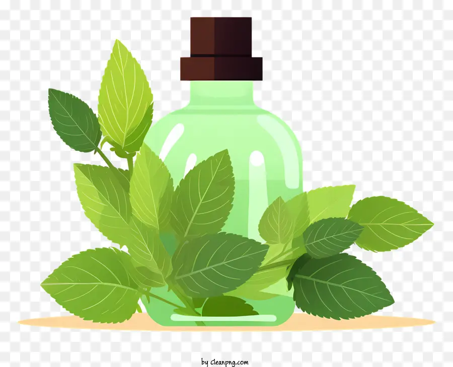 Aceite Esencial，Menta PNG