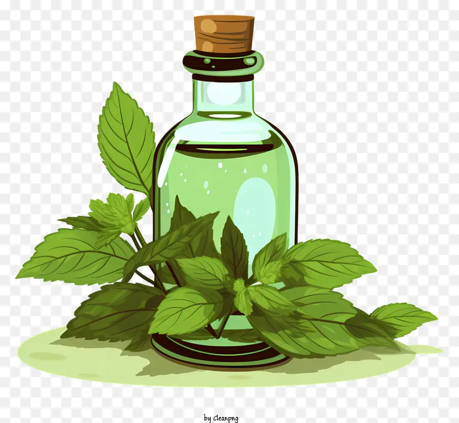 Aceite Esencial，Hojas De Menta Y Botella PNG