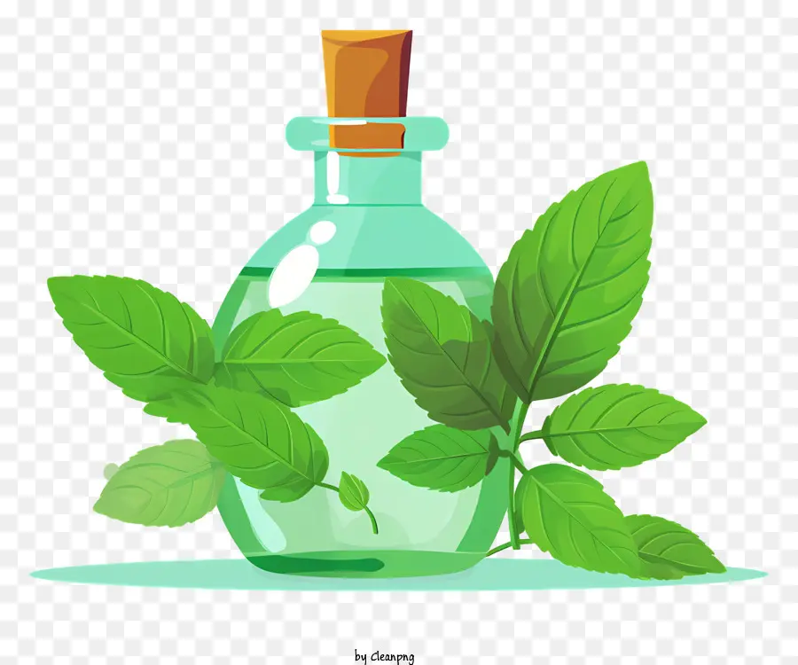 Aceite Esencial，Menta PNG