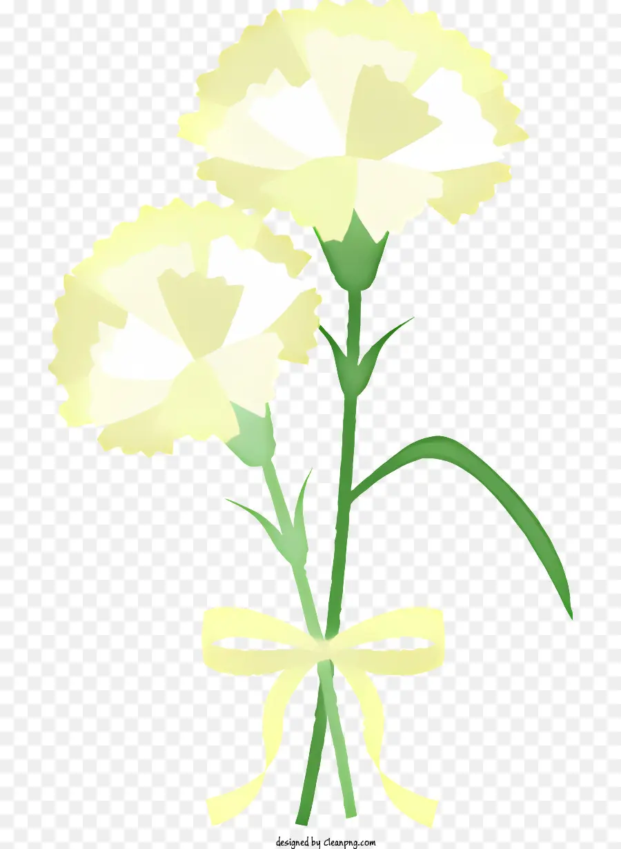 Claveles Blancos，Flores Atadas PNG
