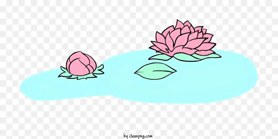 Las Flores De Loto，Estanque PNG