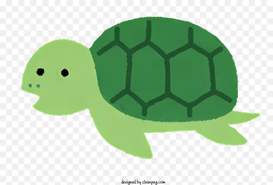 Naturaleza，Tortuga Azul PNG