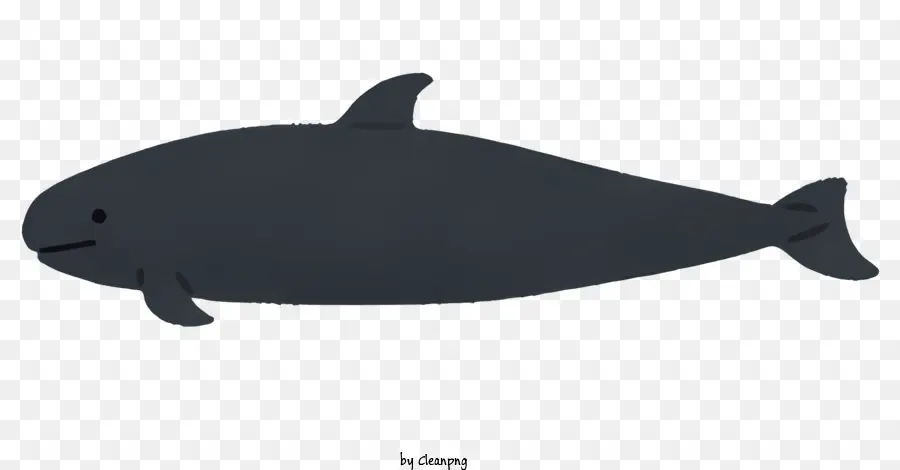 Naturaleza，Ballena PNG