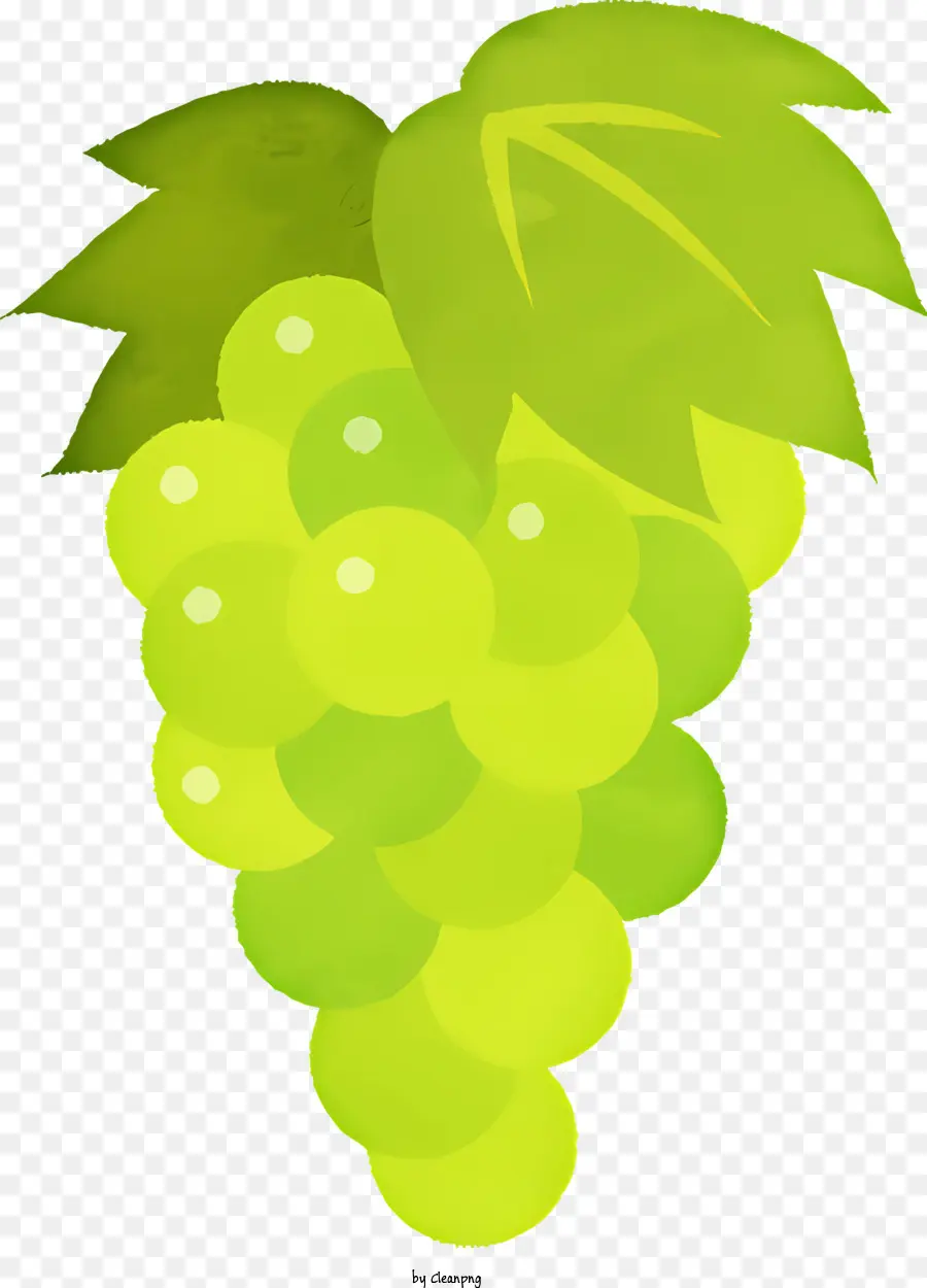 Uvas Verdes，Fruta Fresca PNG