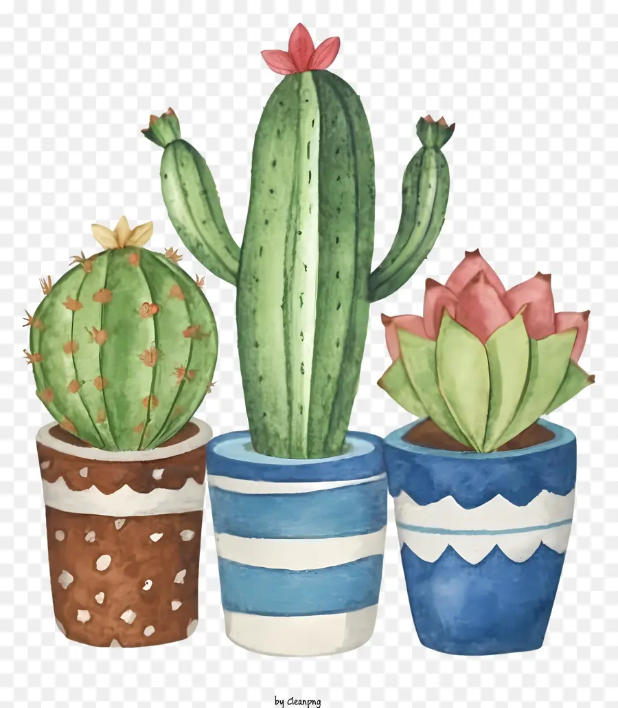 Dibujos Animados，Cactus En Maceta PNG