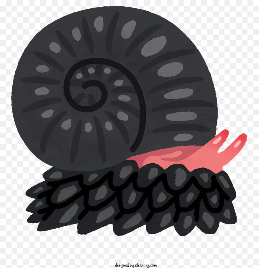 Naturaleza，Caracol Negro PNG