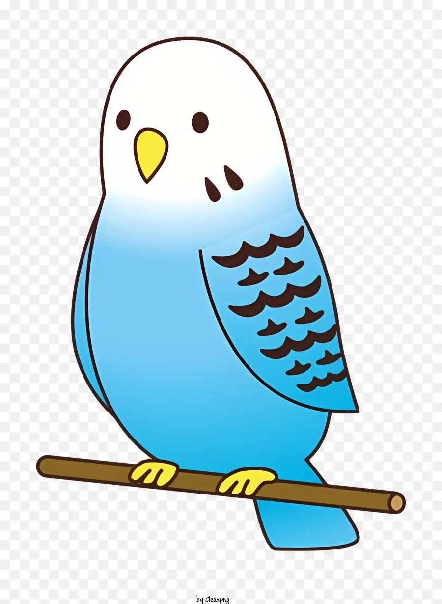 Icono，Loro PNG