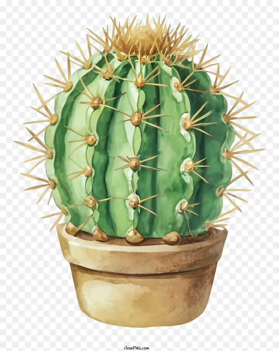 La Historieta，Pintura De Plantas De Cactus PNG