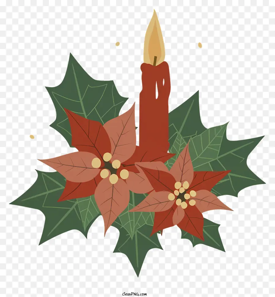 La Historieta，Vela Con Poinsettia PNG