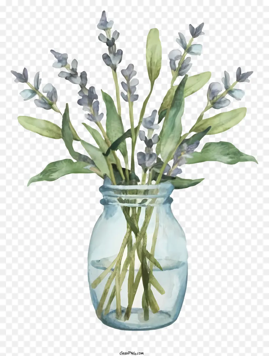 Dibujos Animados，Florero PNG