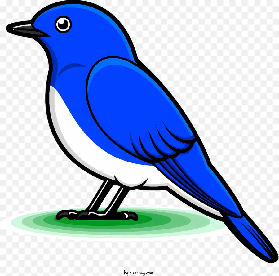 Aves，Pájaro Azul Y Blanco PNG