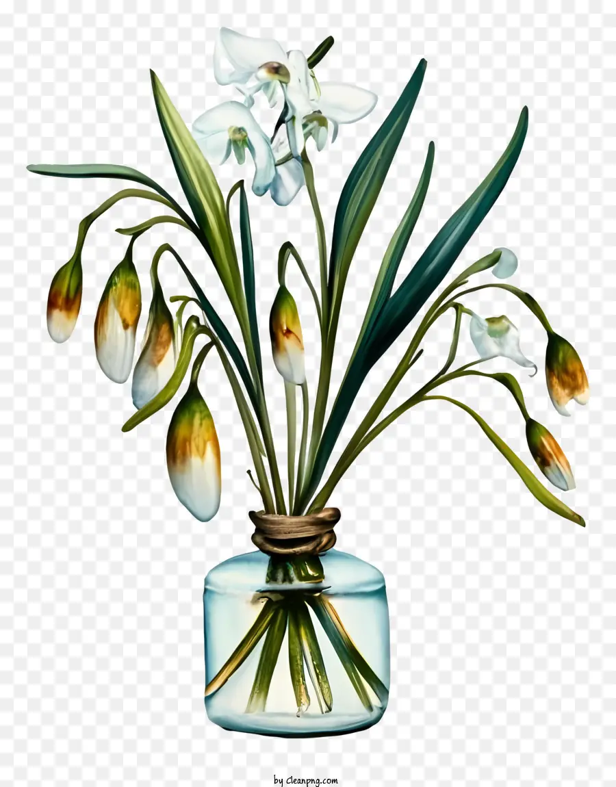 Dibujos Animados，Florero PNG