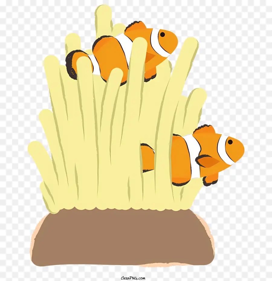 Pez Payaso，Tanque De Peces PNG