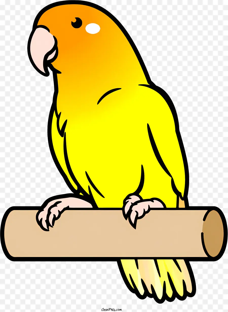 Amarillo Parrot，Pájaro Encaramado PNG