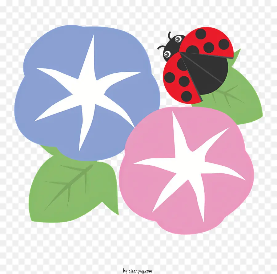 Icono，Flores Y Mariquita PNG