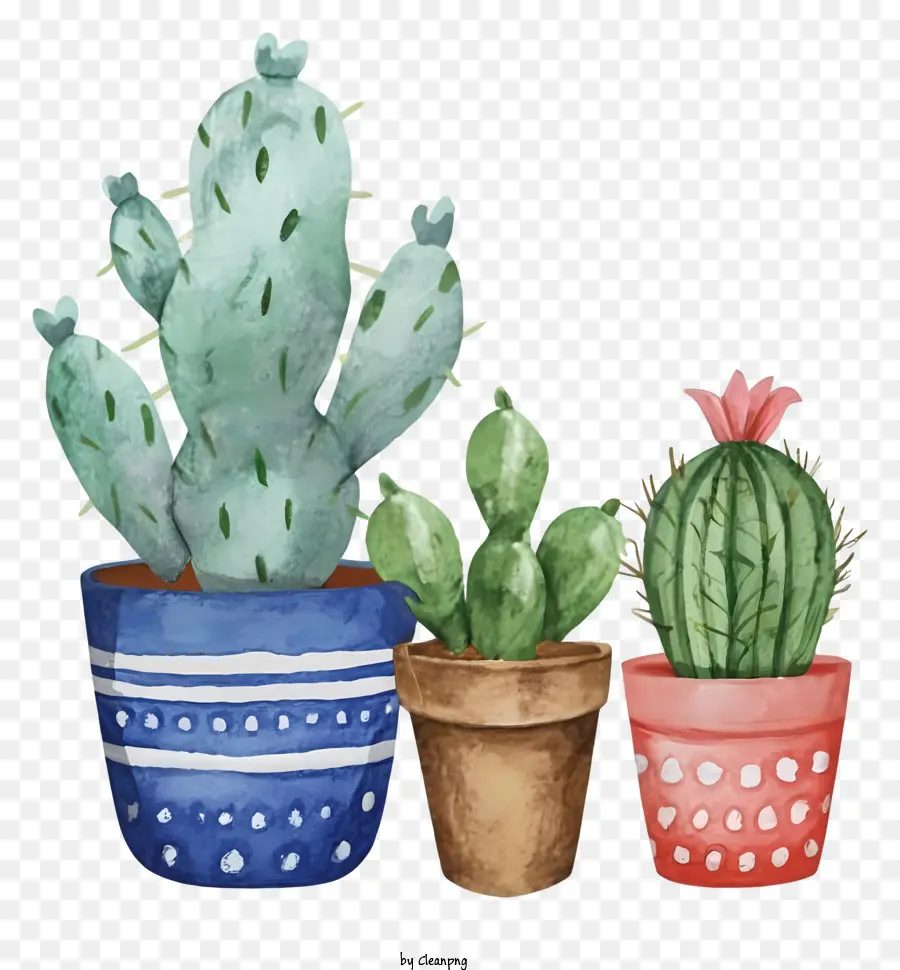 Dibujos Animados，Cactus En Maceta PNG