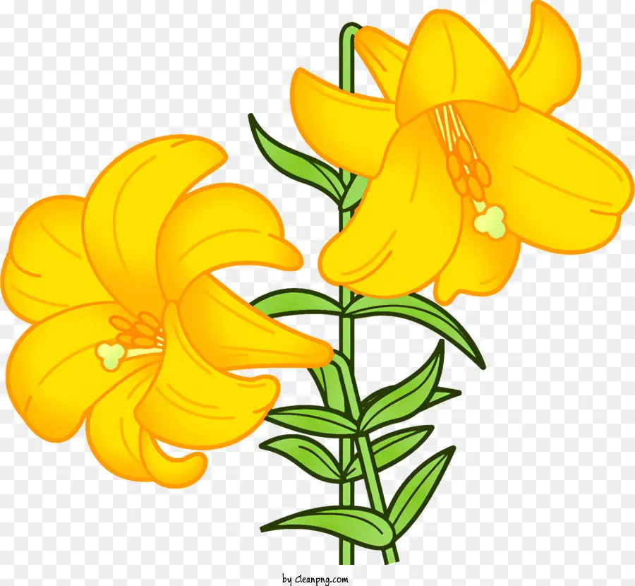 Icono，Flores PNG