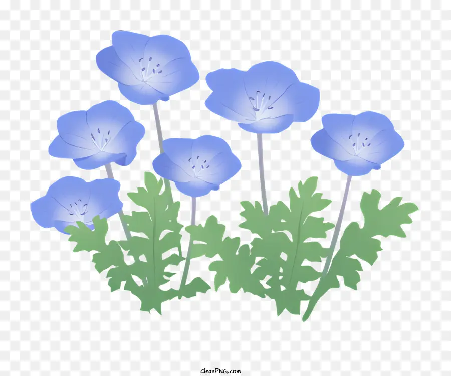 Flores De Color Azul，Hojas Verdes PNG