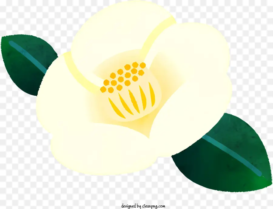 Icono，Flor Blanca PNG