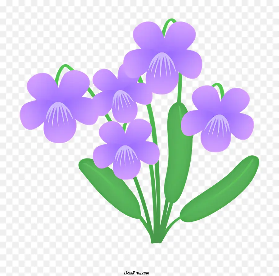 Icono，Flores Moradas PNG