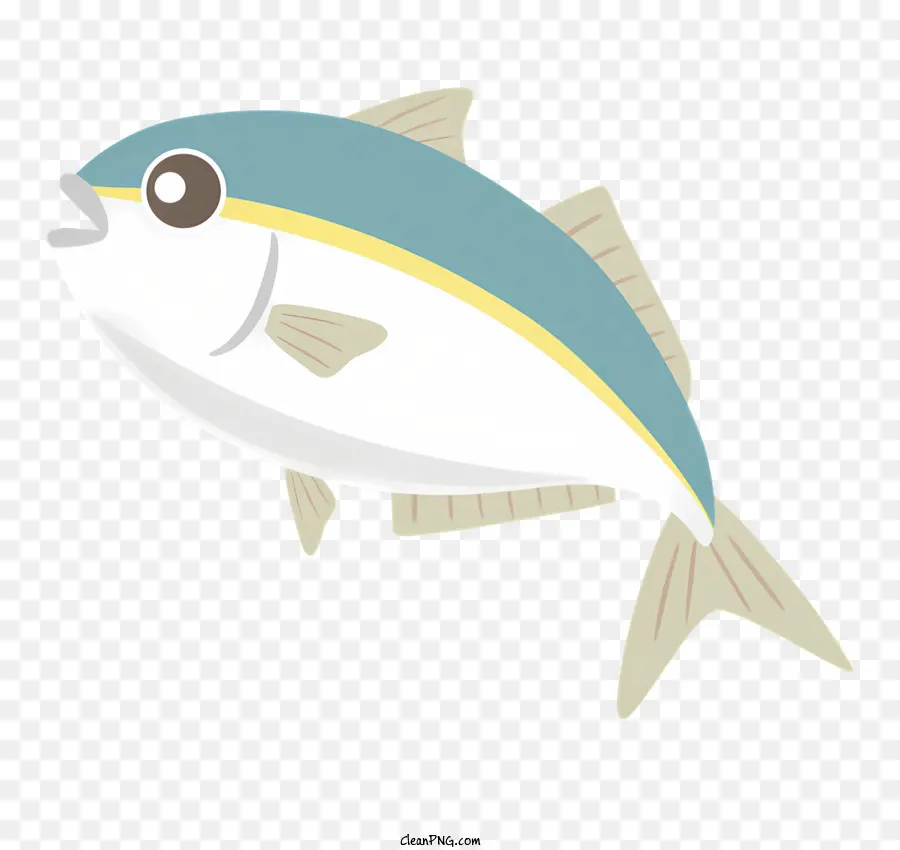 Dibujos Animados De Pescado，Anatomía De Los Peces PNG