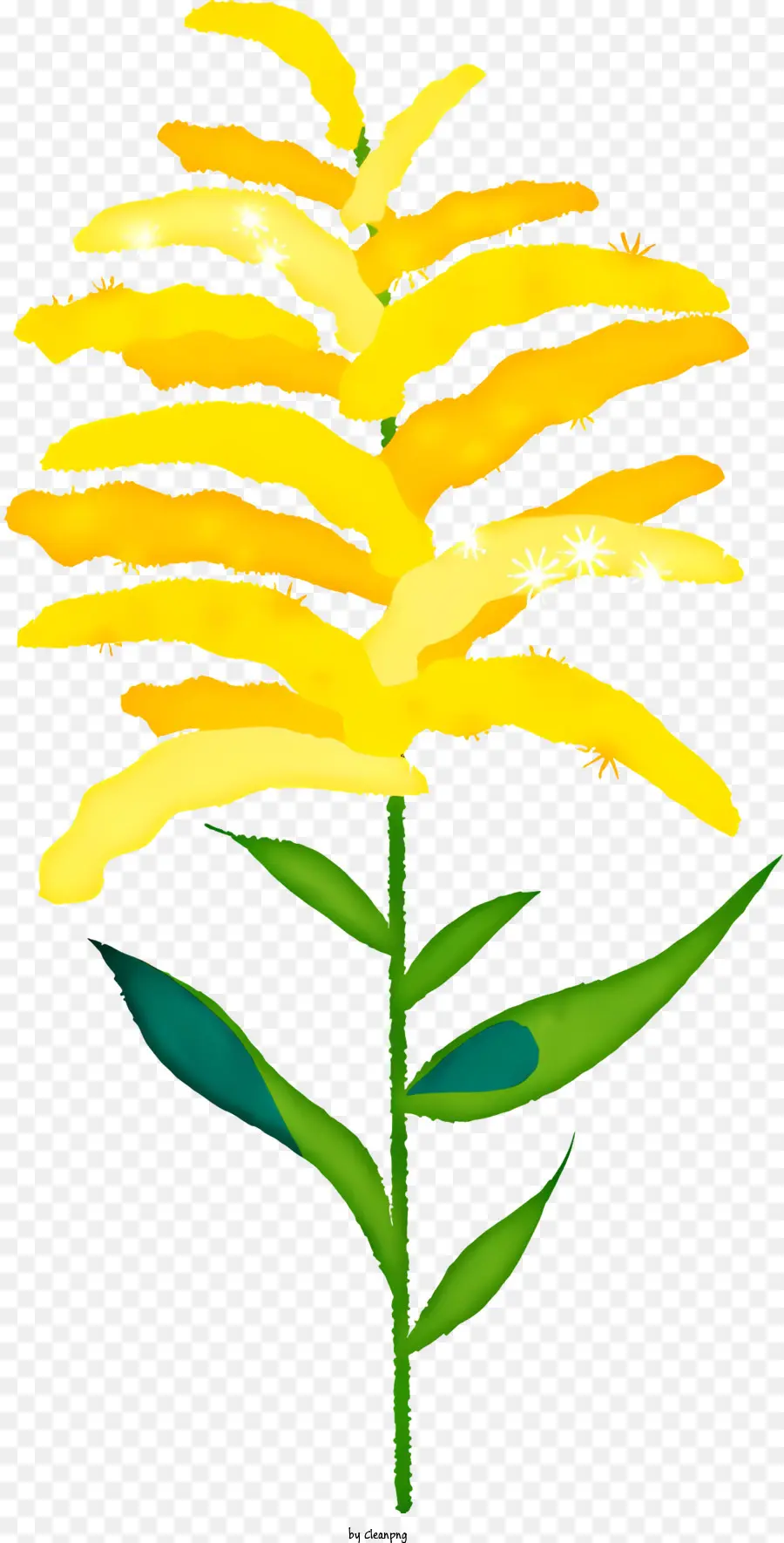 Flor，Pétalos Amarillo PNG
