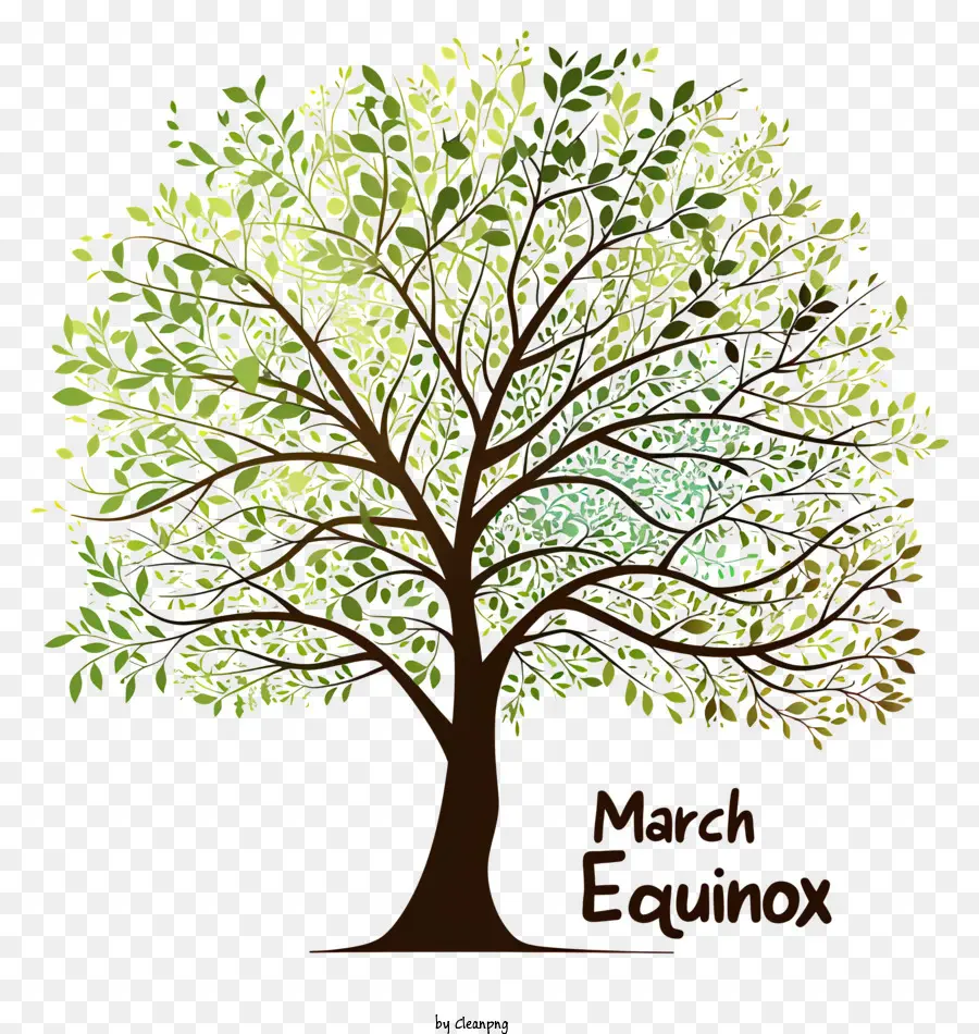 Equinoccio De Marzo，Árbol PNG